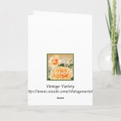 ハロウィンの挨拶状 カード (裏面)