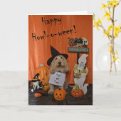 ハロウィンの挨拶 カード (黄色い花)