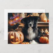 ハロウィンの犬とジャック・オ・ランタン シーズンポストカード (正面/裏面)