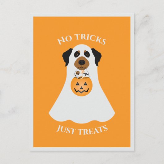 ハロウィンの犬のノトリ ポストカード (正面)