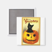 ハロウィンの猫がジャック・オ・ランタンに座っている マグネット (正面/裏面)