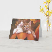 ハロウィンの猫ちゃんカード カード (黄色い花)