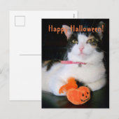 ハロウィンの猫とかぼちゃ シーズンポストカード (正面/裏面)