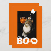 ハロウィンの猫の写真 - ゴーストと蜘蛛の恐怖の目 シーズンカード (正面/裏面)
