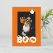 ハロウィンの猫の写真 - ゴーストと蜘蛛 シーズンカード (スタンド正面)