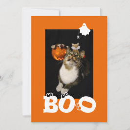 ハロウィンの猫の写真 ゴースト スパイダー 目の玉 シーズンカード