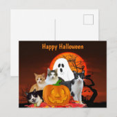 ハロウィンの猫:墓場と幽霊 / ネコ好きのためのグッズ ポストカード (正面/裏面)