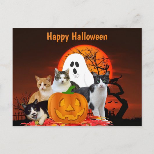 ハロウィンの猫:墓場と幽霊 / ネコ好きのためのグッズ ポストカード (正面)