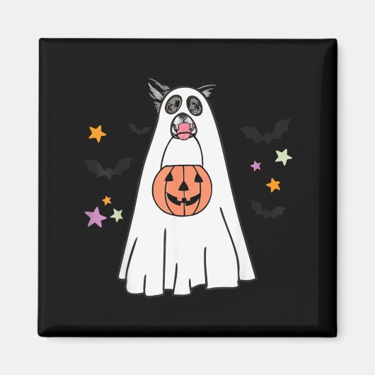 ハロウィンの白黒ボーダーコリーのブー マグネット (正面)