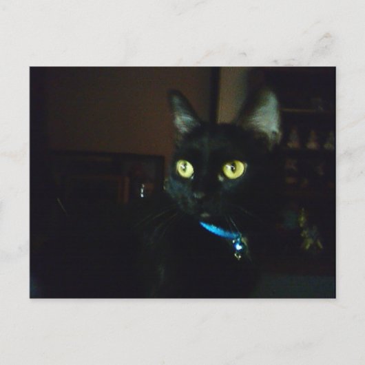 ハロウィンの目 ポストカード (正面)