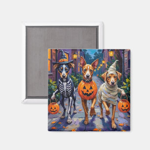 ハロウィンの衣装を着たカロライナ犬のトリックオアトリート マグネット
