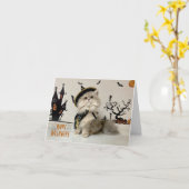 ハロウィンの衣装を着た可愛いペルシャ猫 カード (黄色い花)