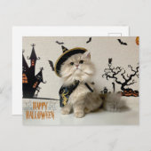 ハロウィンの衣装を着た可愛いペルシャ猫 シーズンポストカード (正面/裏面)