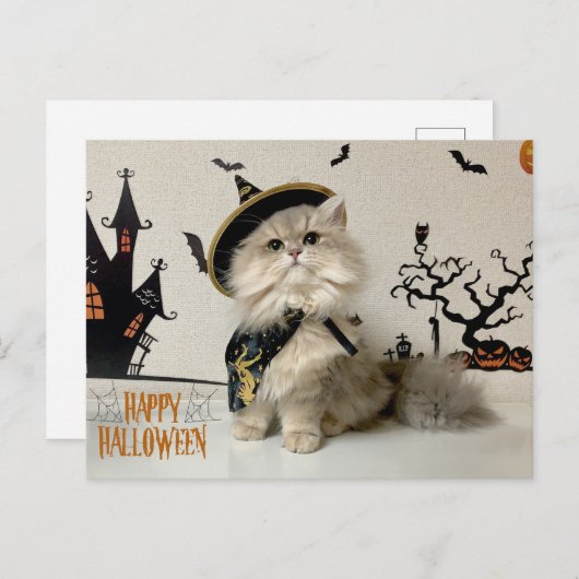 ハロウィンの衣装を着た可愛いペルシャ猫 シーズンポストカード (正面/裏面)
