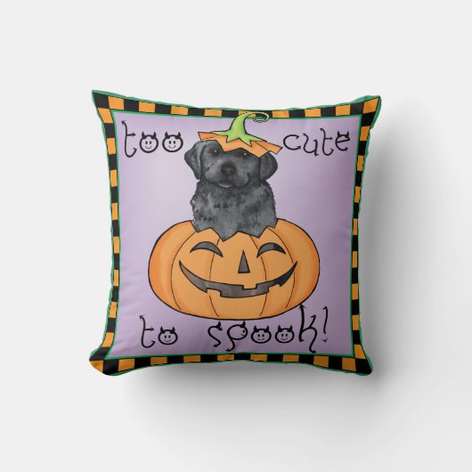 ハロウィンの黒い実験室 クッション (正面)