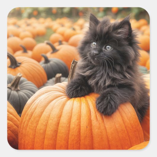ハロウィンの黒猫ちゃんとカボチャ スクエアシール (正面)