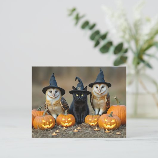 ハロウィンの黒猫とフクロウかわいい シーズンポストカード (スタンド正面)