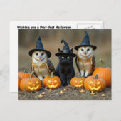 ハロウィンの黒猫とフクロウかわいい シーズンポストカード (正面/裏面)