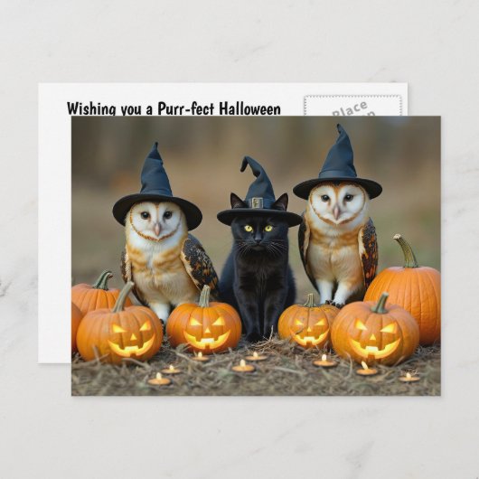 ハロウィンの黒猫とフクロウかわいい シーズンポストカード (正面/裏面)