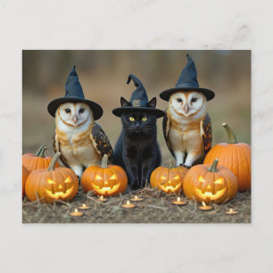 ハロウィンの黒猫とフクロウかわいい シーズンポストカード