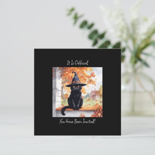 ハロウィンの黒猫 (スタンド正面)