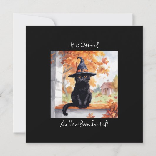 ハロウィンの黒猫 (正面)