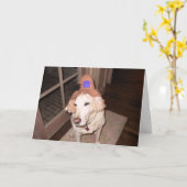 ハロウィンのgoosee カード (黄色い花)