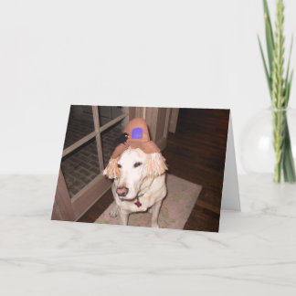 ハロウィンのgoosee カード