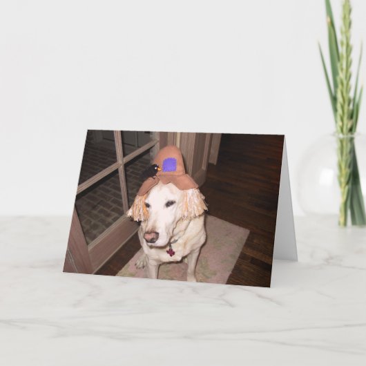 ハロウィンのgoosee カード (正面)