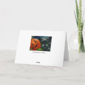 ハロウィンカボチャ付き黒猫カーカスタマイズド カード (裏面)