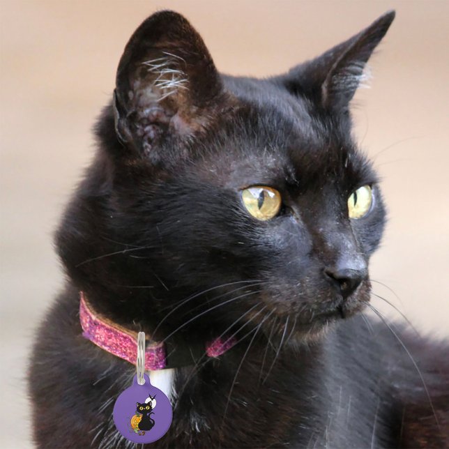 ハロウィンカボチャ紫色の黒猫 ペット　ネームタグ (クリエイターアップロード済み)