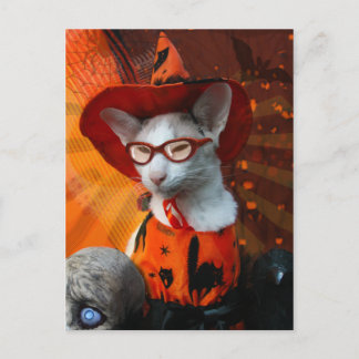 ハロウィンキャット ポストカード
