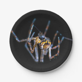 ハロウィンスパイダーペーパープレート ペーパープレート