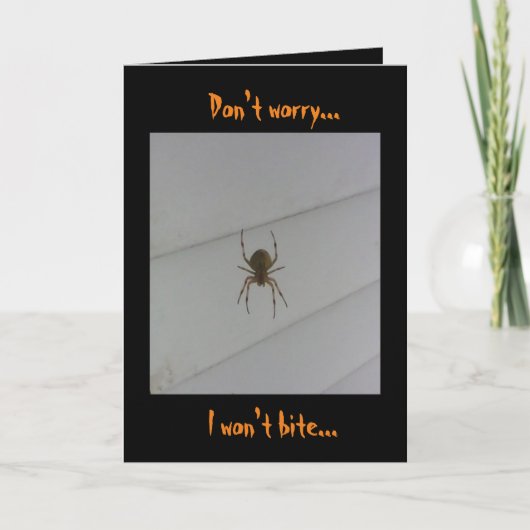 ハロウィンスパイダー カード (正面)