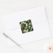 ハロウィンゾンビキャッツ スクエアシール (封筒)