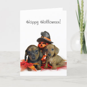 ハロウィンダクシュントの子犬たち カード