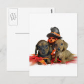 ハロウィンダックスシャントの子犬 ポストカード (正面/裏面)