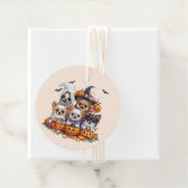 ハロウィンチワフアドッグス フェイバータグ (インサイチュ)