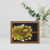 ハロウィンチワフアフラットカード カード (スタンド正面)