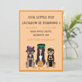 ハロウィンドッグ誕生日パーティー 招待状 (スタンド正面)