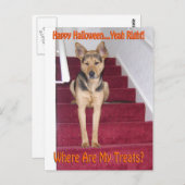 ハロウィンドッグ&ノートリート ポストカード (正面/裏面)