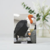 ハロウィンハゲワシ ポストカード (スタンド正面)