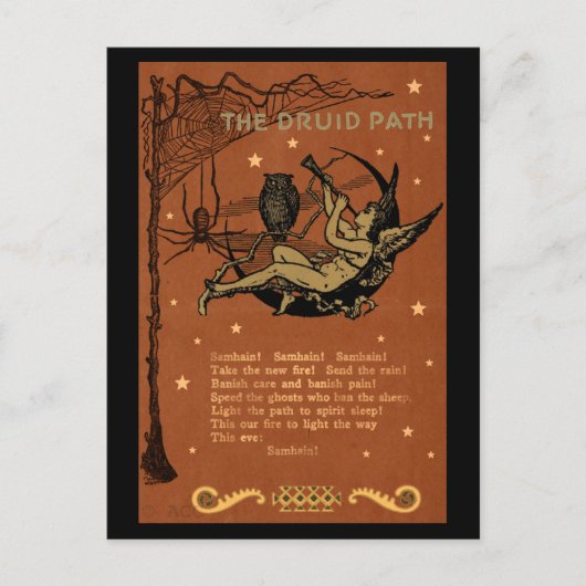 ハロウィンハロウィン妖精フクロウスパイダーウェブ ポストカード (正面)