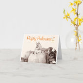 ハロウィンバニーホッピハロウィーン！ カード (黄色い花)