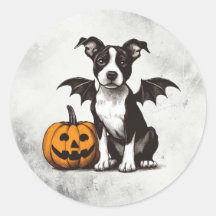 ハロウィンパピー