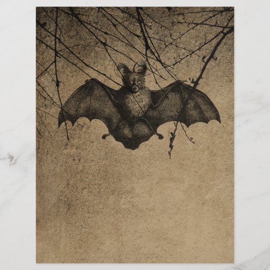 ハロウィンビクトリアンこうもりスクラップブック紙 (裏面)