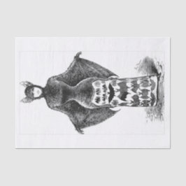 ハロウィンビクトリアンのコスチュームの切り離し 薄葉紙