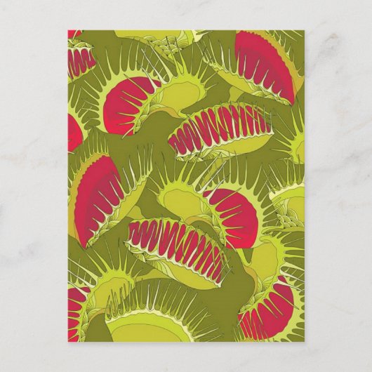 ハロウィンフライトラップ ポストカード (正面)