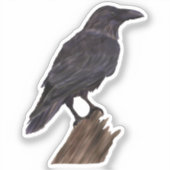 ハロウィンブラッククロウウォーター色 シール (正面)