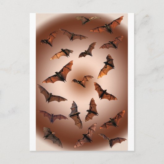 ハロウィン不気味フルーツこうもり飛んでいる（キツネ） ポストカード (正面)